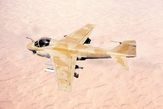 A-6E Intruder Frog/Hasegawa