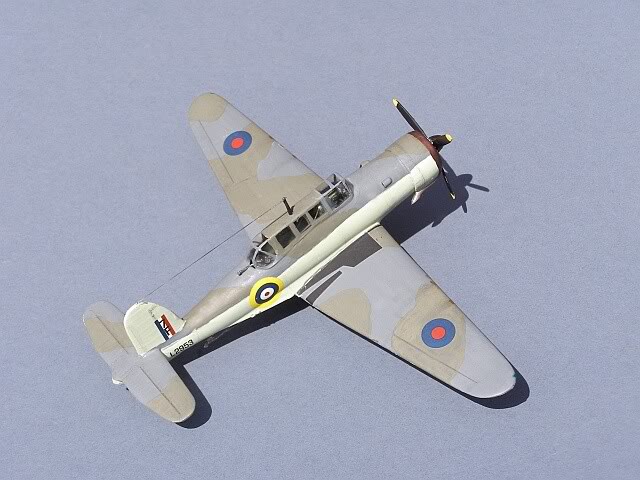 Blackburn Skua