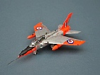 #Gnat