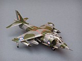 #Harriergr1