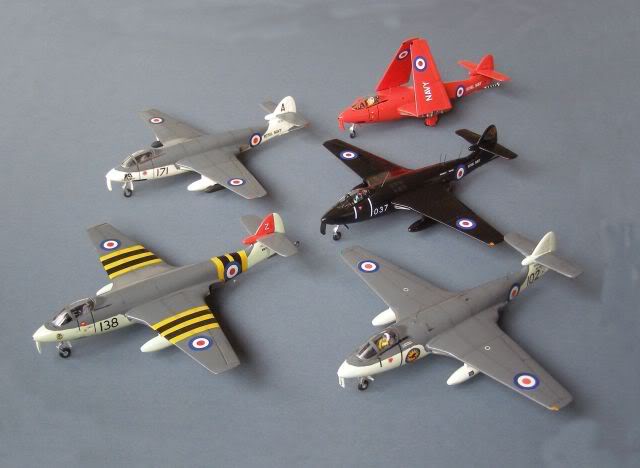 Flock of Sea Hawk 